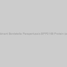 Image of Recombinant Bordetella Parapertussis BPP0168 Protein (aa 1-91)